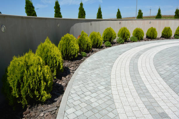 Professional Driveway Pavers in West Memphis, AR